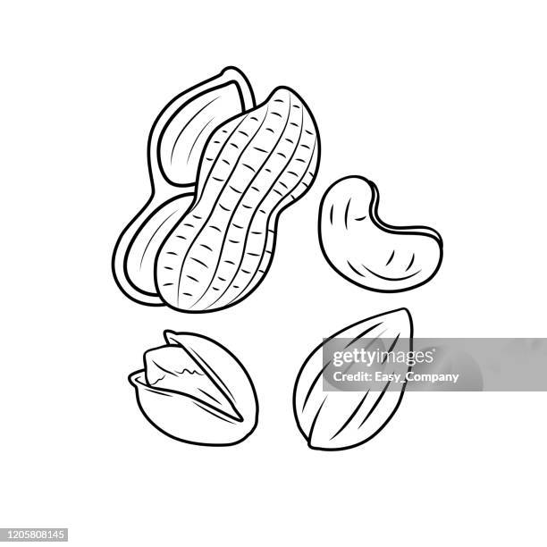 vektor-illustration der mutter isoliert auf weißem hintergrund für kinder färbung aktivität arbeitsblatt / arbeitsmappe. - pistazie stock-grafiken, -clipart, -cartoons und -symbole