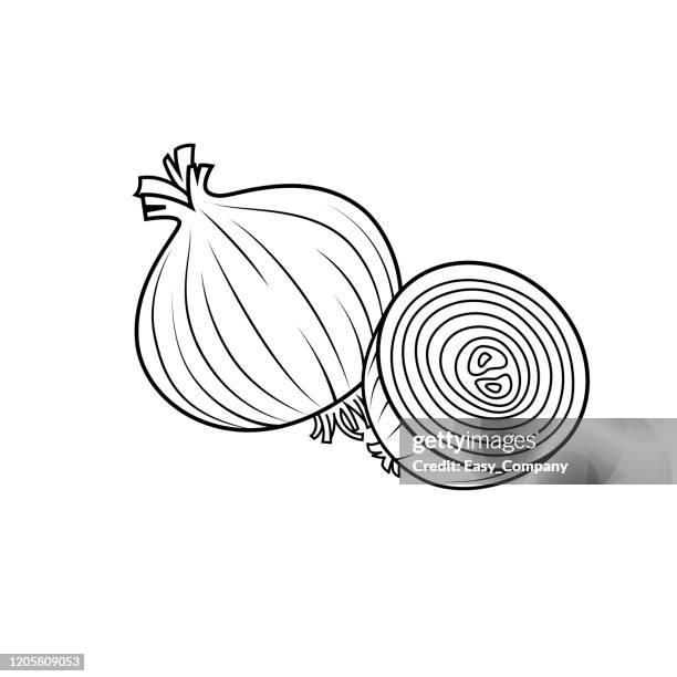 Ilustraciones de Cebolla - Getty Images Ilustraciones de Cebolla - Getty Images