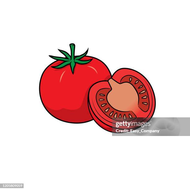 vector illustration of tomato isolated on white background. - slicing tomatoes stock illustrations