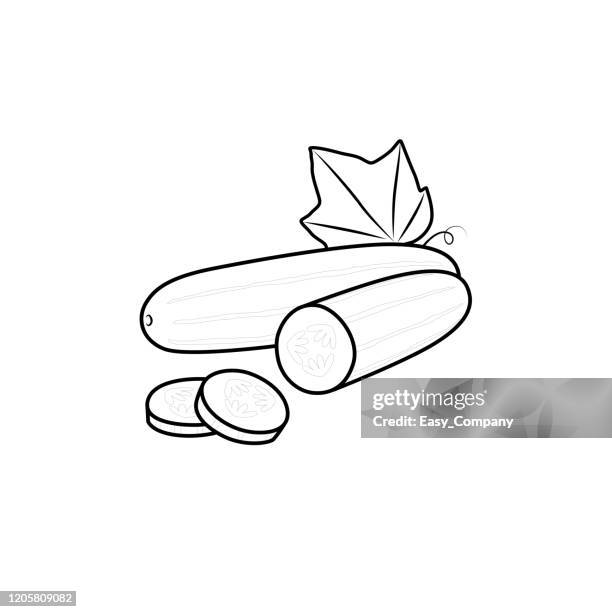 vector illustration of cucumber isolated on white background for kids coloring book. - squash vegetable stock illustrations