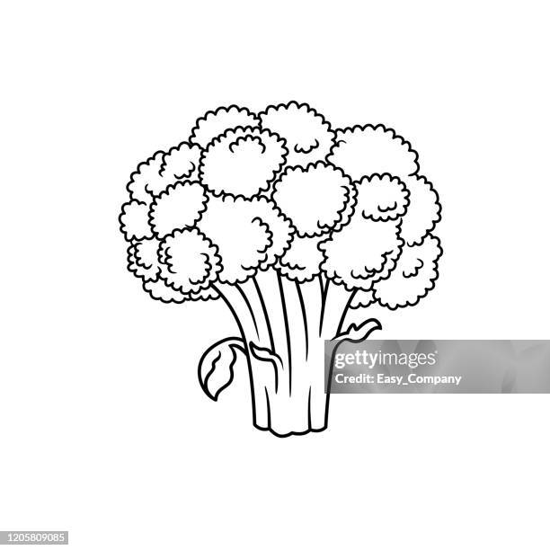 vector illustration of broccoli isolated on white background for kids coloring book. - kale salad stock illustrations