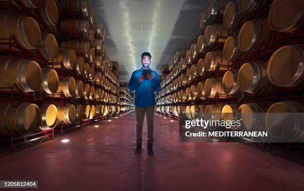 enologo che lavora in botti di rovere in cantina - seminterrato foto e immagini stock