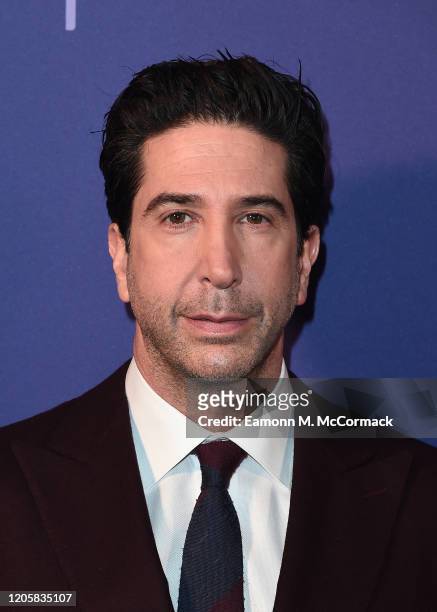 David Schwimmer attends the Sky Up Next 2020 at Tate Modern on February 12, 2020 in London, England.