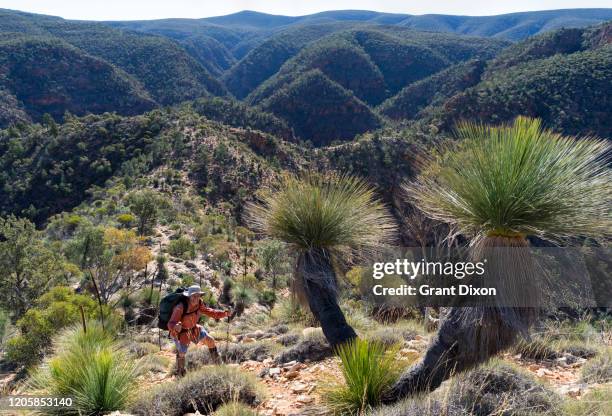 Gammon Ranges Sa 57 Leigh Creek South Australia Stock Photos, High-Res Pictures, and ...