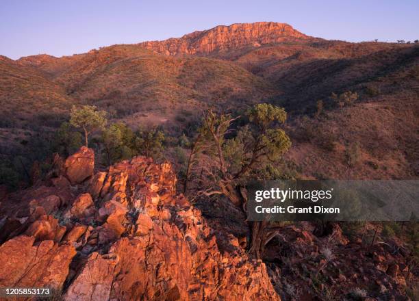 Gammon Ranges Sa 57 Leigh Creek South Australia Stock Photos, High-Res Pictures, and ...