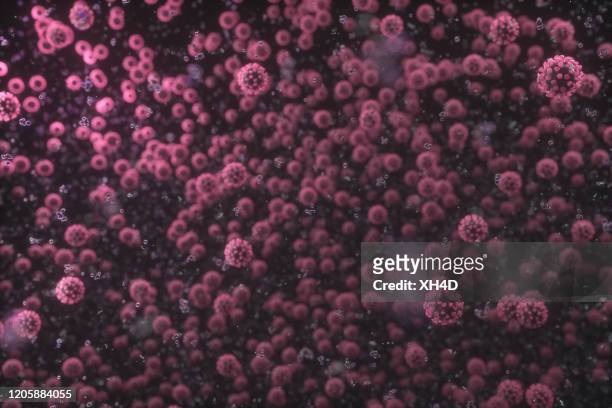 coronavirus - bacterium stock pictures, royalty-free photos & images