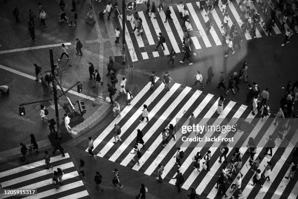 tokyo, japan - october 23, 2019: view of shibuya crossing from above. shibuya crossing is one of the busiest crosswalks in the world. - black and white city stock pictures, royalty-free photos & images