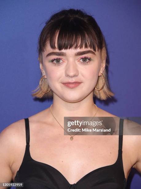 Maisie Williams attends the Sky Up Next 2020 at Tate Modern on February 12, 2020 in London, England.