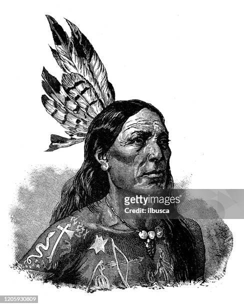 stockillustraties, clipart, cartoons en iconen met antieke illustratie: inheemse noord-amerikaan - native americans 1800s