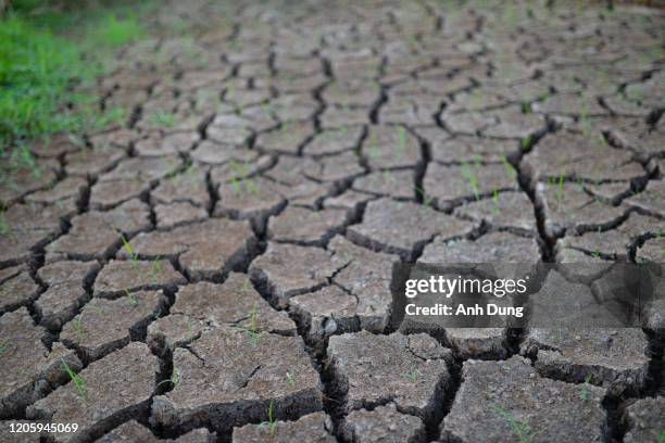 Dry Rotted Rice 45 Vietnamese Broken Rice Stock Photos, High-Res Pictures, and Images ...
