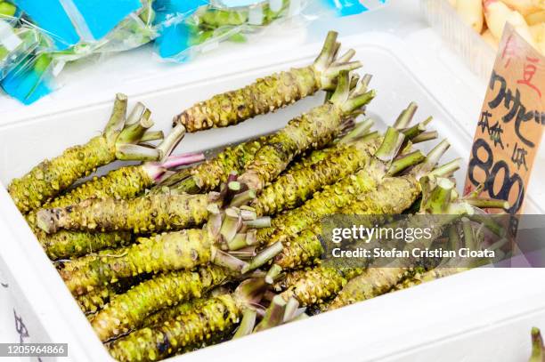 raw japanese wasabi - fresh wasabi stockfoto's en -beelden