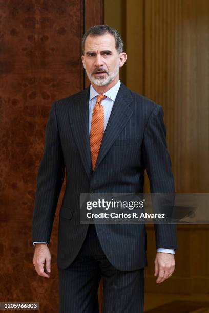 King Felipe VI of Spain receives members of 'Consejo de la Diputacion de la Grandeza de Espana y Titulos del Reino' at Zarzuela Palace on February...