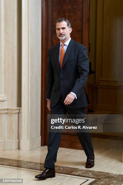 King Felipe VI of Spain receives members of 'Consejo de la Diputacion de la Grandeza de Espana y Titulos del Reino' at Zarzuela Palace on February...