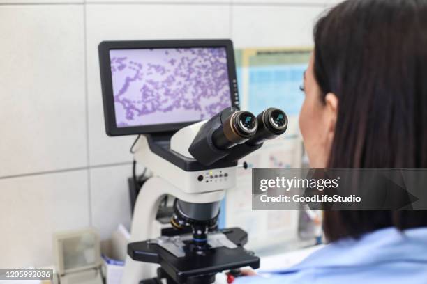 biotechnology - blood cells microscope stock pictures, royalty-free photos & images