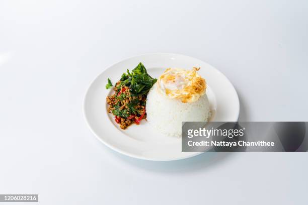 pad krapao pork, (stir fried minced pork with thai basil and chilli) - stock photo - thailändische küche stock-fotos und bilder