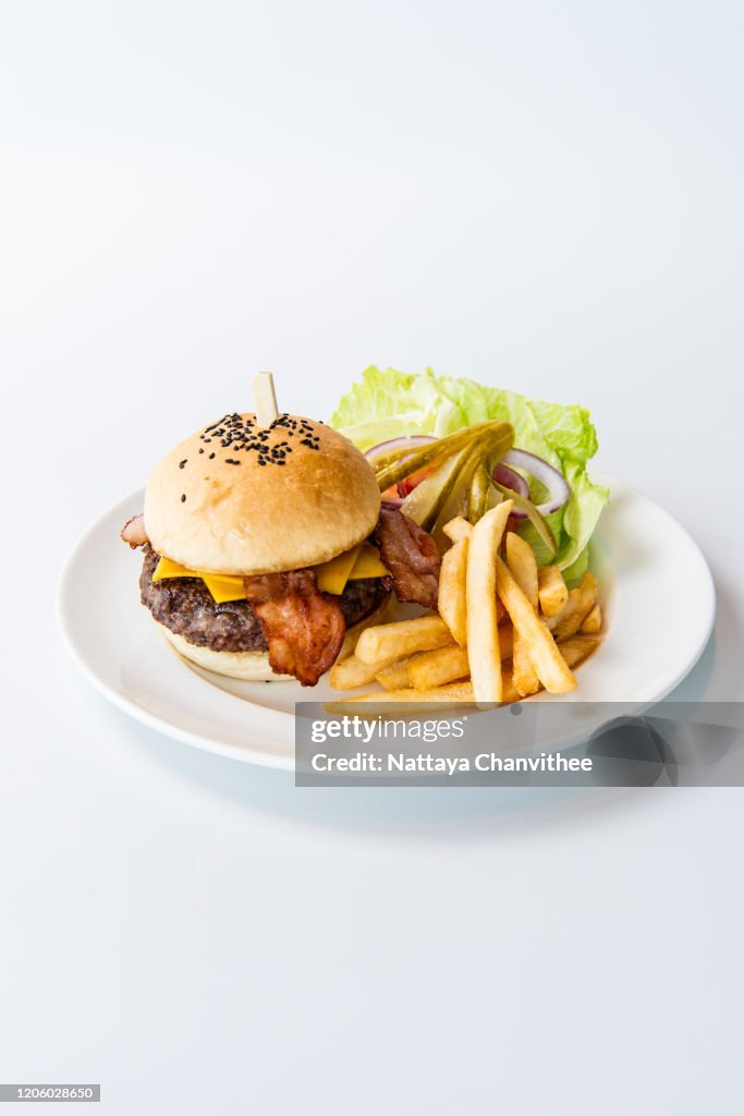 Cheeseburger and french fries - stock photo