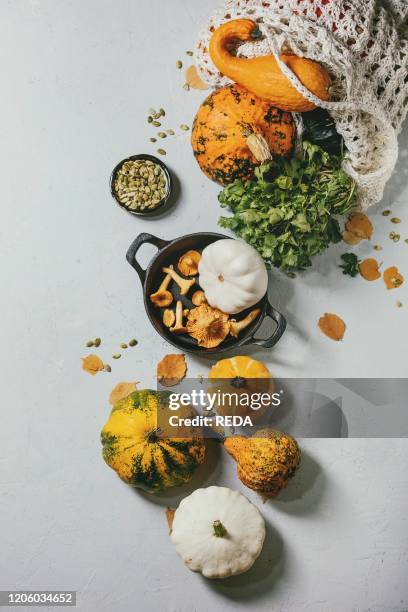 Variety of colorful pumpkins, News Photo