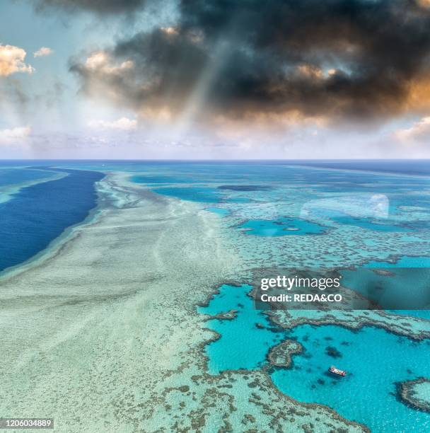 Aerial view of Coral Reef at sunset, Australia..