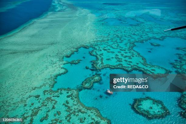 Natural Great Barrier Reef in Queensland. Aerial view of nature paradise with magnificent colors..