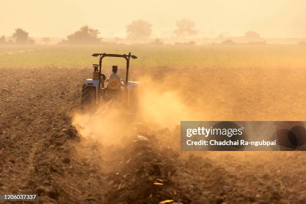 agriculture farmer of asia rice field work concept. asian farmer working on rice field outdoor in agricultural of asia. worker in rural work in farm with sunset background. - indonesian farmer 個照片及圖片檔