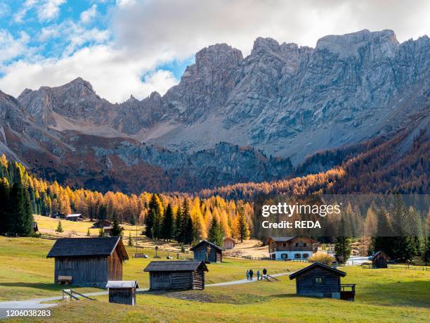 121 Fascia (Italy) Stock Photos, HighRes Pictures, and Images Getty