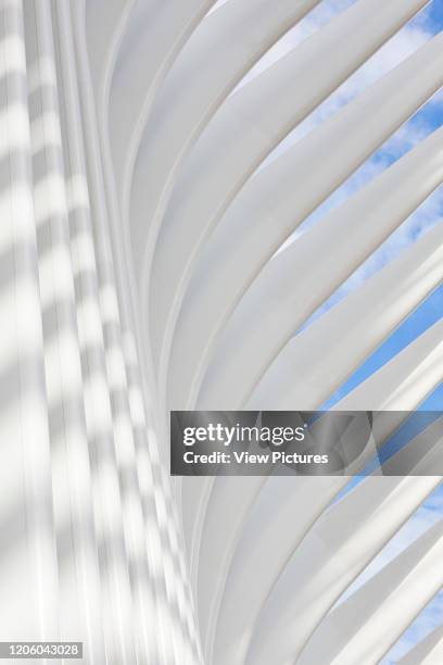 Sinuous detail of white steel rib facade. The Oculus, World Trade Center Transportation Hub, New York, United States. Architect: Santiago Calatrava,...