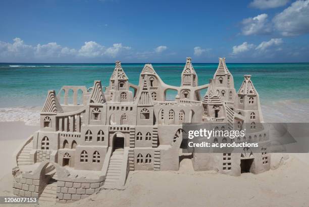 sand castle on beach - château de sable photos et images de collection