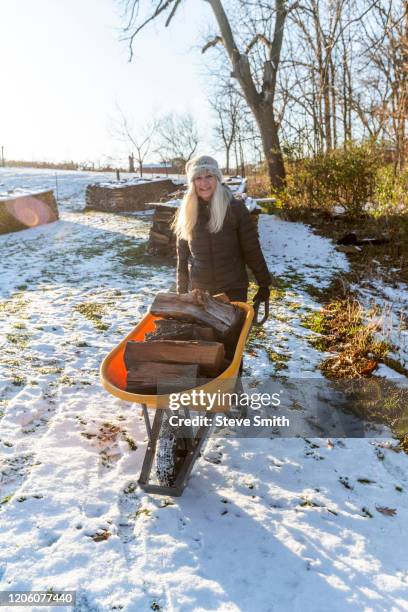 woman holding wheelbarrow with logs in snow - kruiwagen stockfoto's en -beelden
