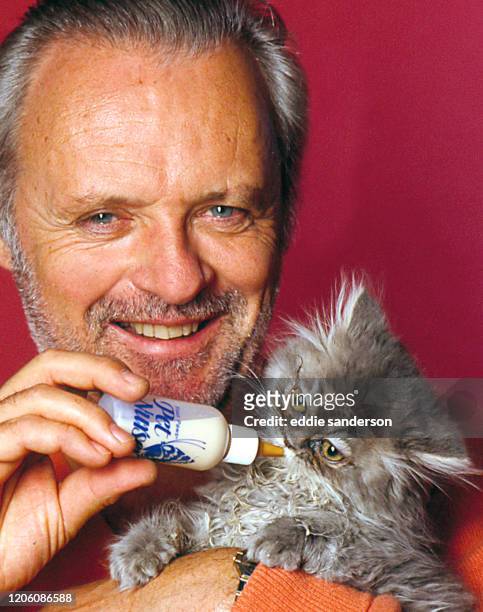 Award winning actor Anthony Hopkins feeding kitten at his home in Santa Monica, California after completing the filming of 'Silence of the Lambs' as...