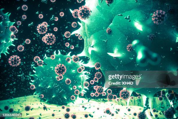 witte bloedcellen doden longontsteking coronavirus met y cel - white blood cells stockfoto's en -beelden