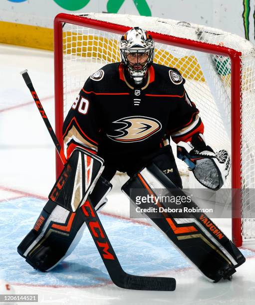 Ryan Miller of the Anaheim Ducks holds the crease during the game against the Calgary Flames at Honda Center on February 13, 2020 in Anaheim,...