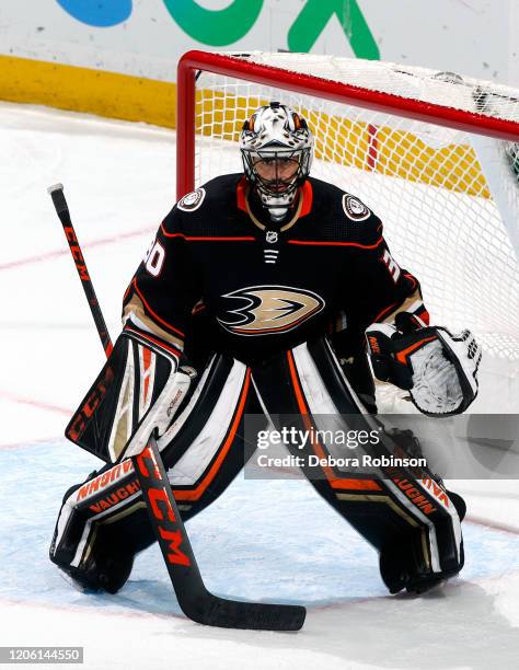 Ryan Miller of the Anaheim Ducks holds the crease during the game against the Calgary Flames at Honda Center on February 13, 2020 in Anaheim,...