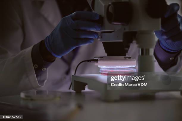 scrutinising a new sample - pathologist stock pictures, royalty-free photos & images
