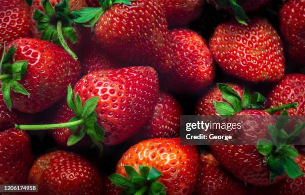 close up of strawberrys - strawberry stock pictures, royalty-free photos & images