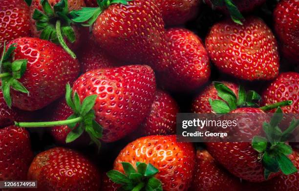 close up of strawberrys - strawberry 個照片及圖片檔