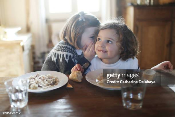 two 4 year old girls having fun during the lunch - child whispering stock-fotos und bilder
