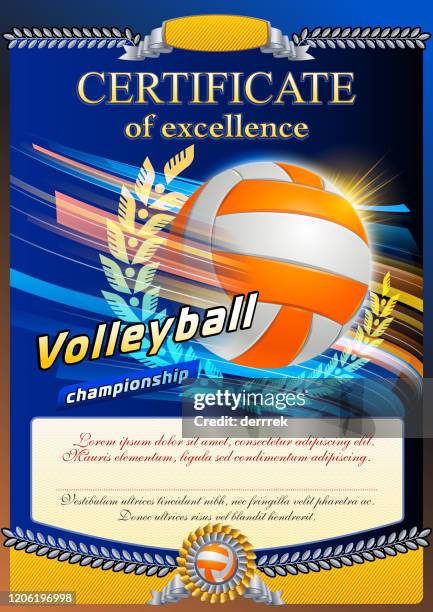 volleyball - tournament champion stock illustrations