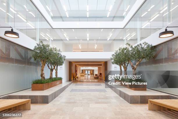 Atrium Plants Photos and Premium High Res Pictures - Getty Images