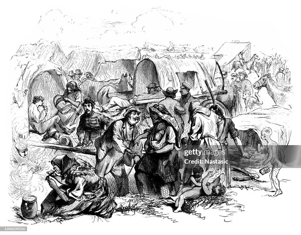 Country scene at the horse market