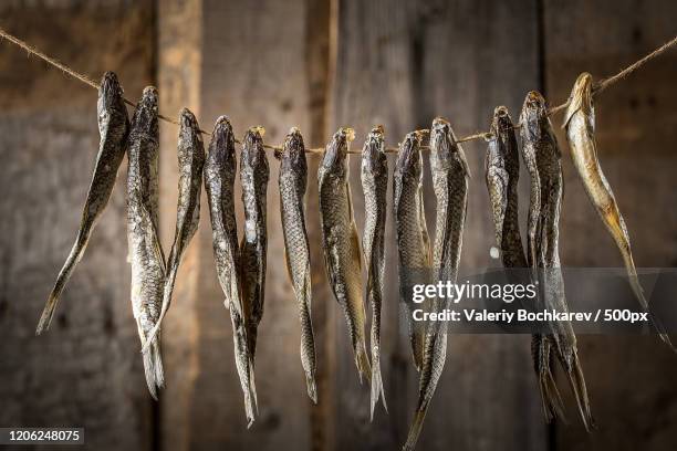1,046 String Of Fish Stock Photos, High-Res Pictures, and Images ...