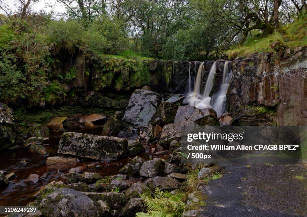 landscape with view of tullydermot falls, tullydermot, county cavan, ireland - cavan images stock-fotos und bilder