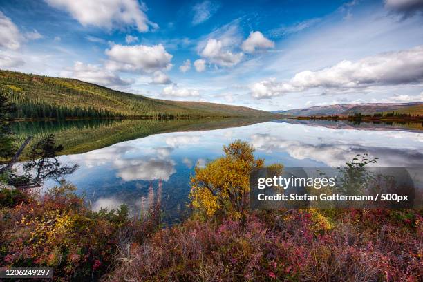 calm fall day at wonder lake, denali national park and preserve, illinois, usa - wonder lake stock pictures, royalty-free photos & images