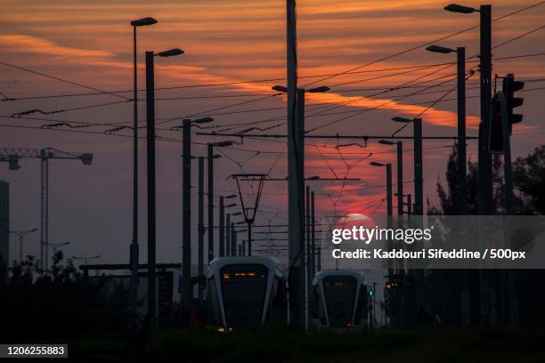 tramway at sunset, oran, algeria - oran stock pictures, royalty-free photos & images