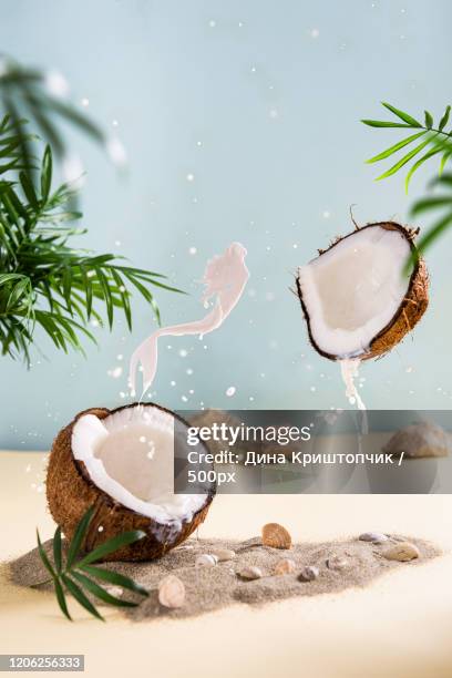 milk splashing out of split coconut - coco fotografías e imágenes de stock