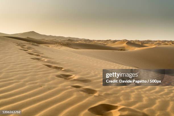 clear sky over desert and footprints - ghana stock pictures, royalty-free photos & images