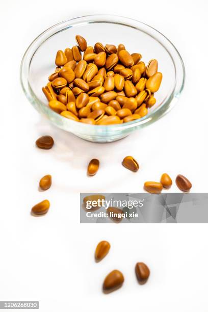 glass bowl and pine nuts on white background - pijnboompit stockfoto's en -beelden