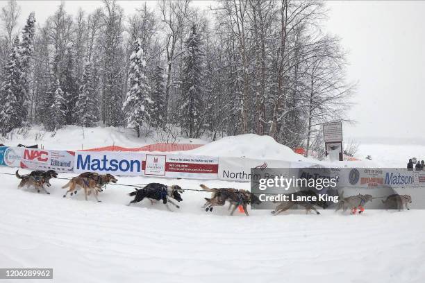 Dogs of Fabio Berlusconi's team run from the starting line during the restart of the 2020 Iditarod Sled Dog Race at Willow Lake on March 8, 2020 in...