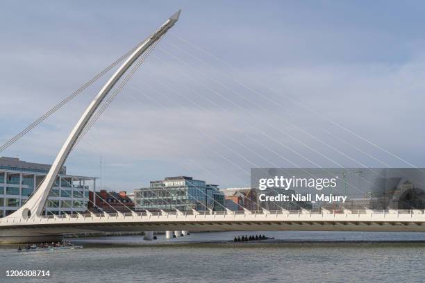 two teams of rowers passing under the samuel beckett bridge - liffey river ireland stock pictures, royalty-free photos & images