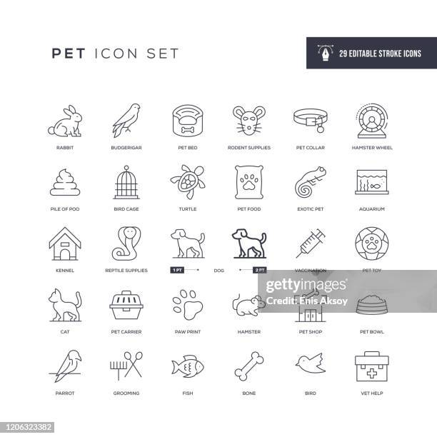 ilustrações de stock, clip art, desenhos animados e ícones de pet editable stroke line icons - reptile