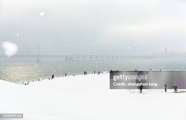 people watching snowing at the seaside square. - people white background stock pictures, royalty-free photos & images